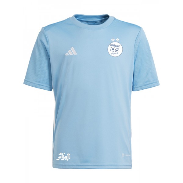 Algeria player version soccer jersey light blue soccer uniform men's football kit tops sport shirt 2023